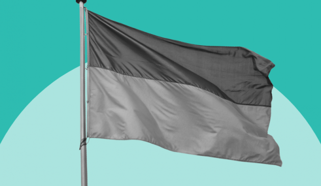 a black and white image of the Ukrainian flag against a teal background